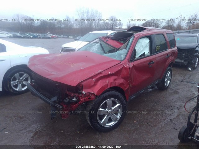 Photo 1 VIN: 1FMCU0DG7CKA58099 - FORD ESCAPE 