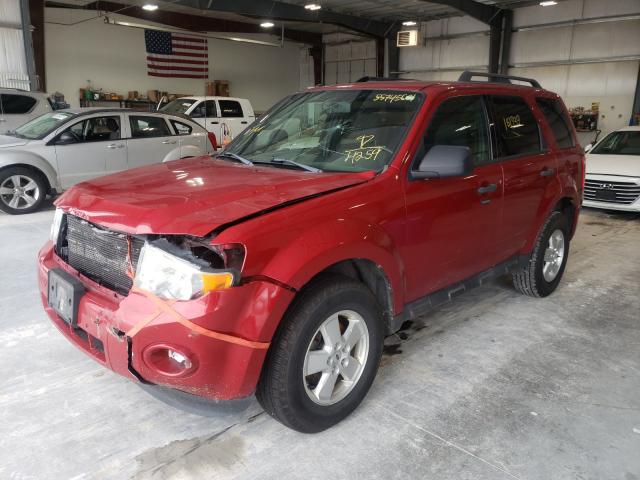 Photo 1 VIN: 1FMCU0DG8BKA74259 - FORD ESCAPE XLT 