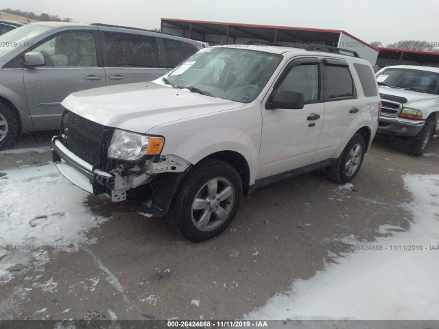 Photo 1 VIN: 1FMCU0DG8BKB96829 - FORD ESCAPE 