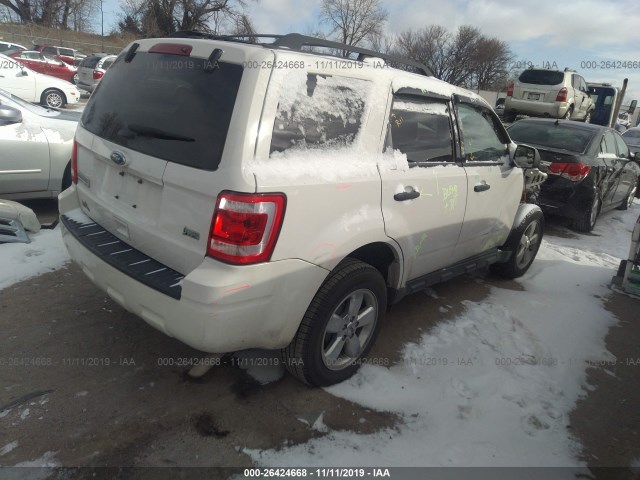 Photo 3 VIN: 1FMCU0DG8BKB96829 - FORD ESCAPE 