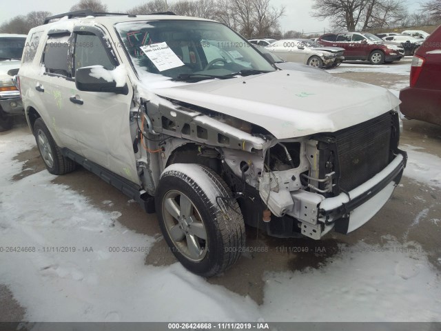 Photo 5 VIN: 1FMCU0DG8BKB96829 - FORD ESCAPE 