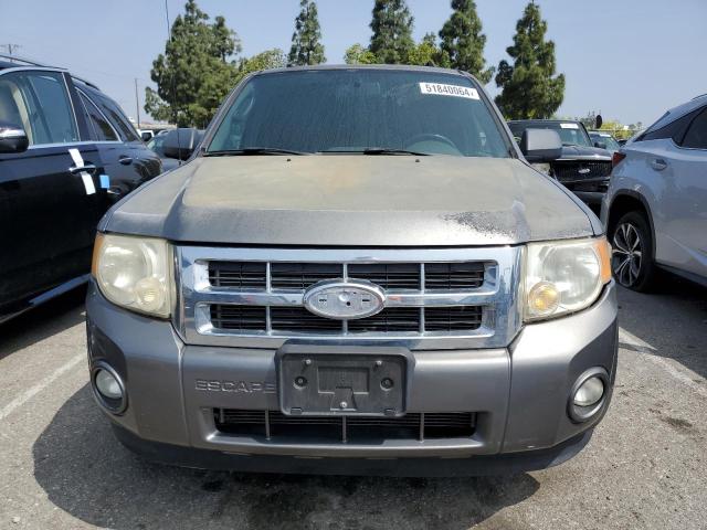 Photo 4 VIN: 1FMCU0DG9AKA08561 - FORD ESCAPE 