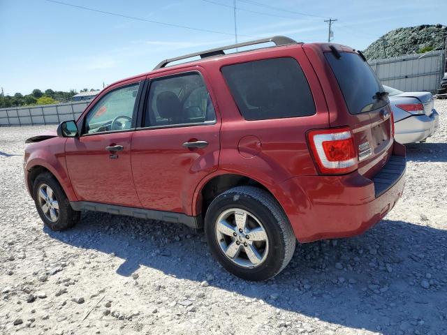 Photo 1 VIN: 1FMCU0DG9BKA48804 - FORD ESCAPE 