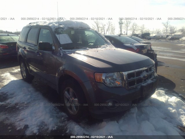 Photo 0 VIN: 1FMCU0DG9BKA52030 - FORD ESCAPE 