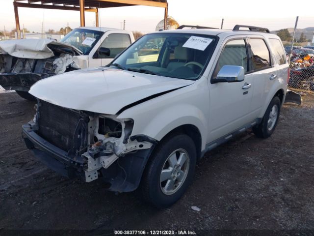 Photo 1 VIN: 1FMCU0DG9BKB73155 - FORD ESCAPE 