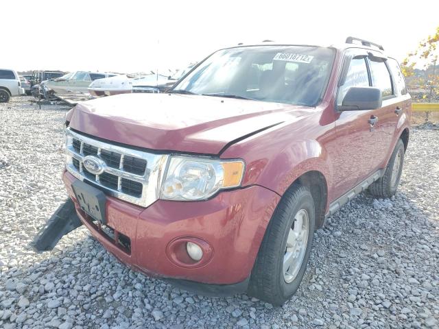 Photo 1 VIN: 1FMCU0DGXBKA08893 - FORD ESCAPE XLT 