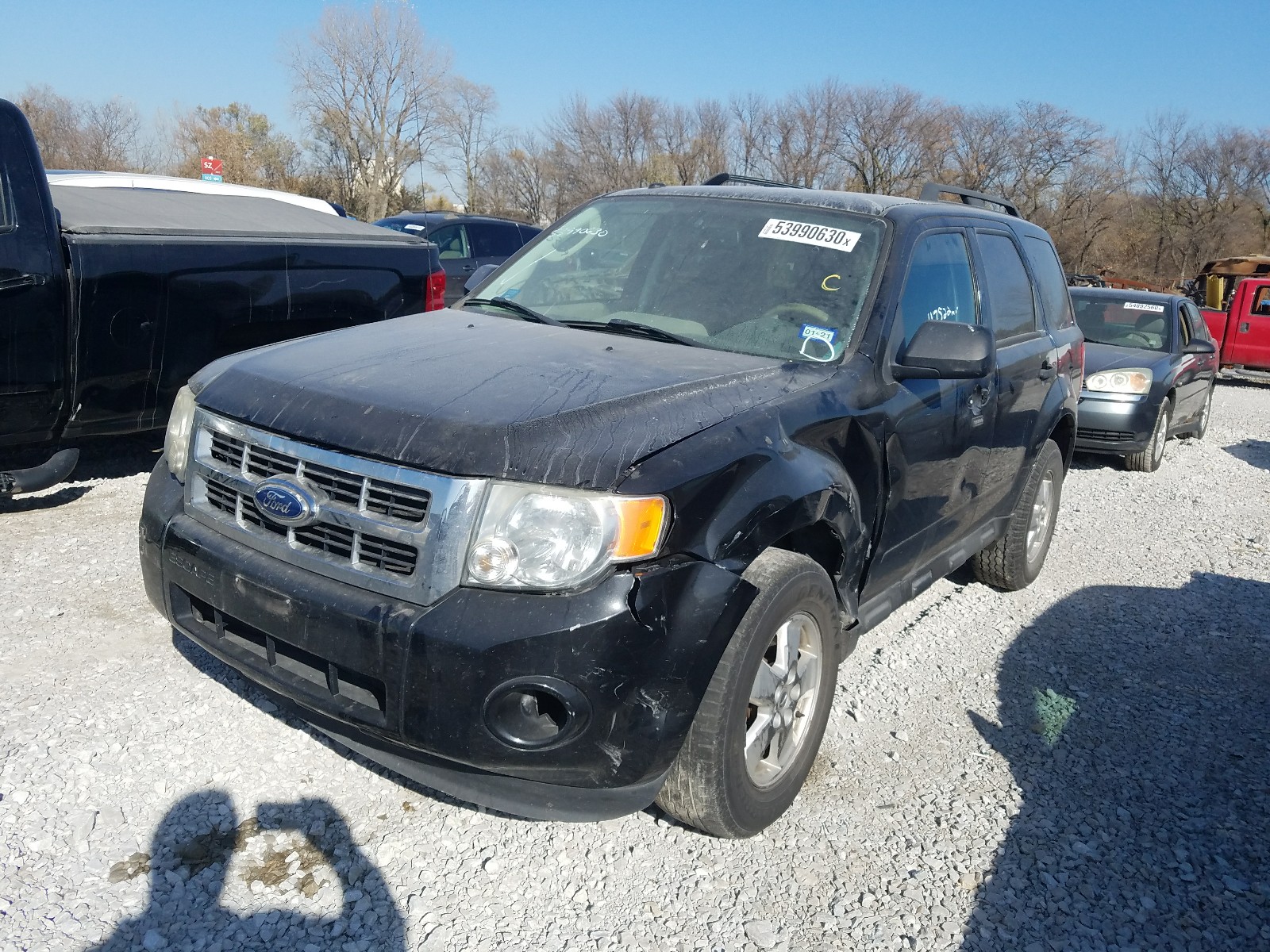 Photo 1 VIN: 1FMCU0DGXBKA98661 - FORD ESCAPE XLT 