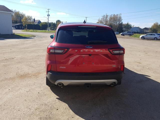 Photo 5 VIN: 1FMCU0E10RUA81098 - FORD ESCAPE 