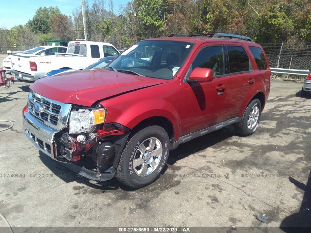 Photo 1 VIN: 1FMCU0E72BKC21674 - FORD ESCAPE 