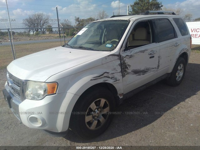 Photo 5 VIN: 1FMCU0E73AKD37142 - FORD ESCAPE 