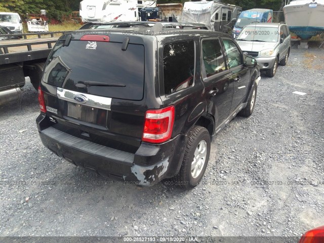 Photo 3 VIN: 1FMCU0E77BKC31696 - FORD ESCAPE 