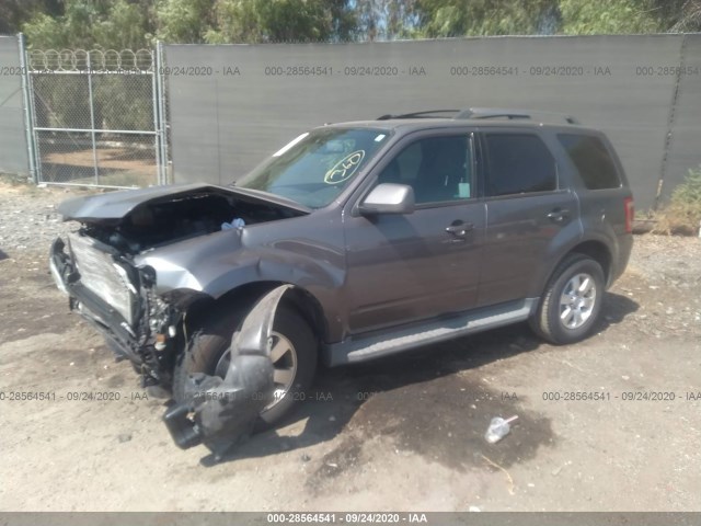 Photo 1 VIN: 1FMCU0E79BKC41629 - FORD ESCAPE 