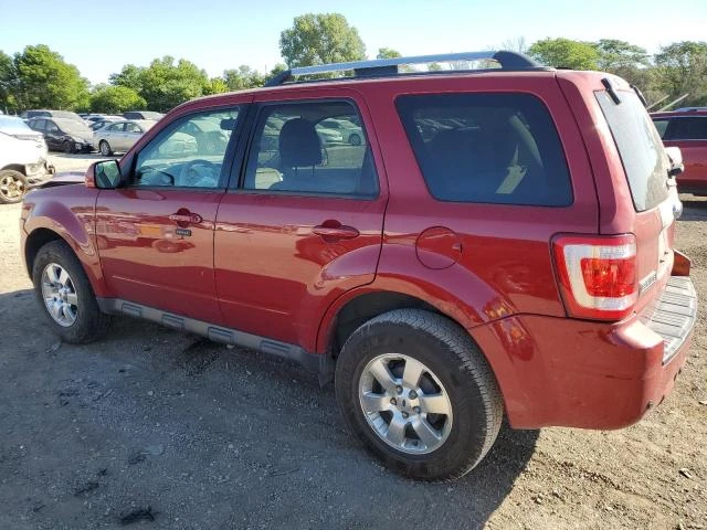 Photo 1 VIN: 1FMCU0E7XBKC04363 - FORD ESCAPE LIM 