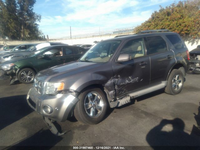 Photo 1 VIN: 1FMCU0EG0AKD48924 - FORD ESCAPE 