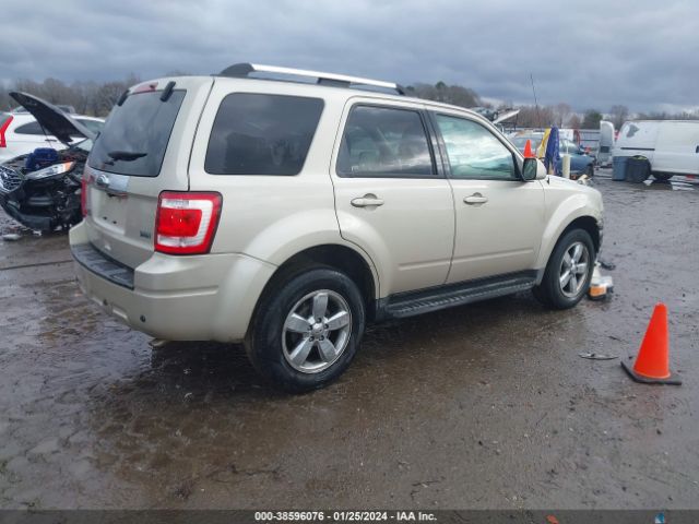 Photo 3 VIN: 1FMCU0EG0BKC17431 - FORD ESCAPE 