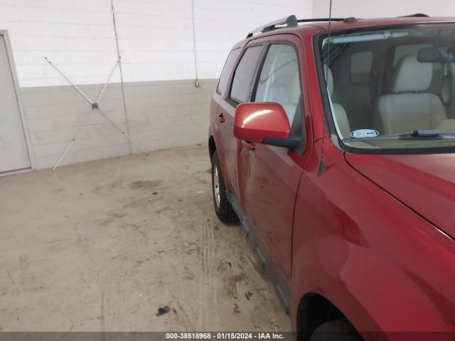 Photo 5 VIN: 1FMCU0EG0CKB39296 - FORD ESCAPE 