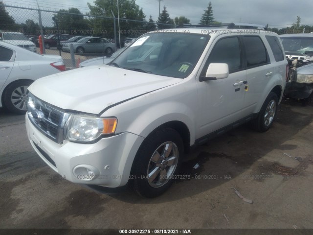 Photo 1 VIN: 1FMCU0EG1AKD26219 - FORD ESCAPE 