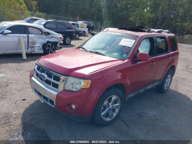 Photo 1 VIN: 1FMCU0EG1BKA25466 - FORD ESCAPE 