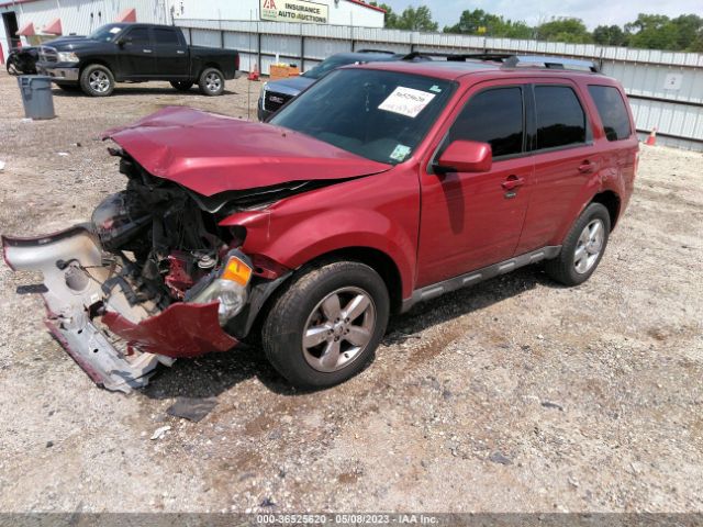 Photo 1 VIN: 1FMCU0EG1BKA43790 - FORD ESCAPE 