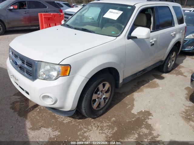 Photo 1 VIN: 1FMCU0EG1CKB95439 - FORD ESCAPE 