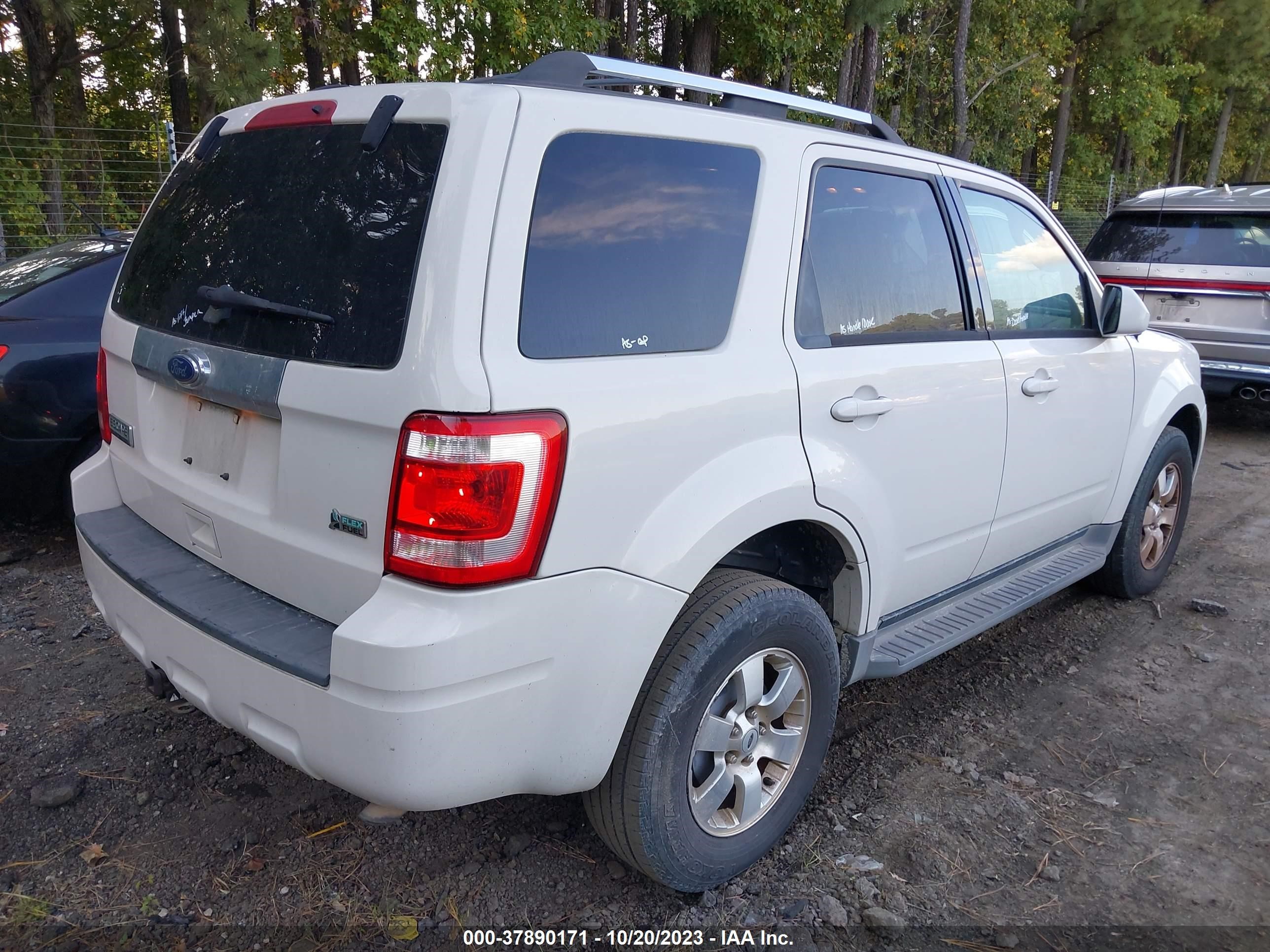 Photo 3 VIN: 1FMCU0EG2AKB20679 - FORD ESCAPE 