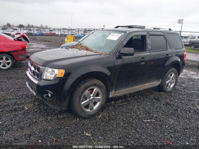 Photo 1 VIN: 1FMCU0EG3AKA85473 - FORD ESCAPE 