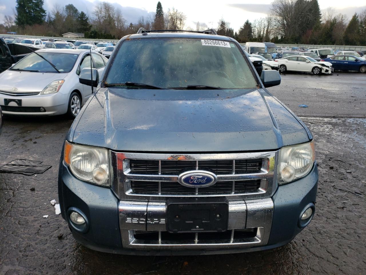 Photo 4 VIN: 1FMCU0EG3AKD13133 - FORD ESCAPE 