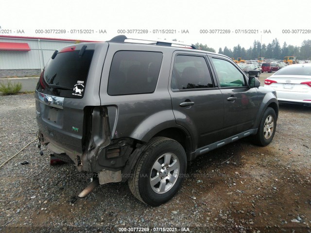 Photo 3 VIN: 1FMCU0EG3AKD42342 - FORD ESCAPE 