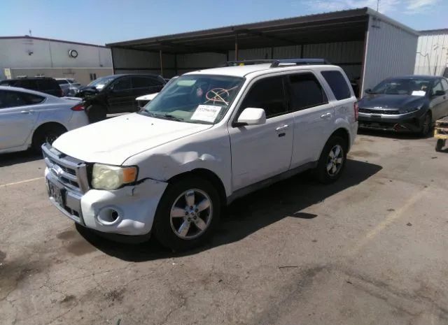 Photo 1 VIN: 1FMCU0EG3BKA56251 - FORD ESCAPE 