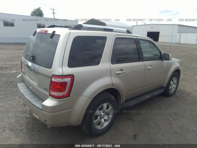 Photo 3 VIN: 1FMCU0EG4AKA03010 - FORD ESCAPE 