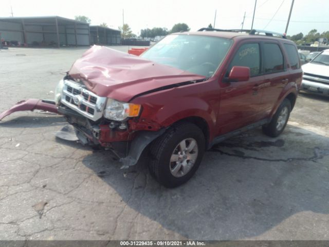 Photo 1 VIN: 1FMCU0EG4BKB80139 - FORD ESCAPE 