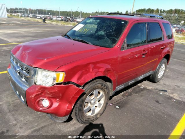 Photo 1 VIN: 1FMCU0EG4BKB95272 - FORD ESCAPE 