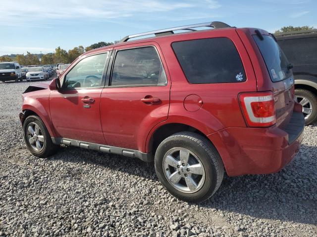 Photo 1 VIN: 1FMCU0EG4BKC01877 - FORD ESCAPE 