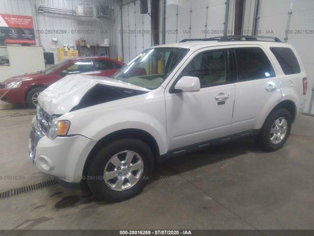 Photo 1 VIN: 1FMCU0EG4BKC69449 - FORD ESCAPE 