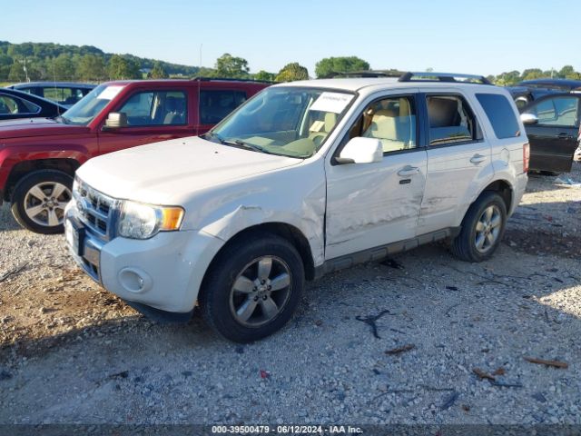 Photo 1 VIN: 1FMCU0EG5AKB62232 - FORD ESCAPE 