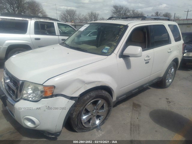 Photo 1 VIN: 1FMCU0EG5BKA55456 - FORD ESCAPE 