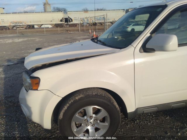 Photo 1 VIN: 1FMCU0EG6AKA04563 - FORD ESCAPE 