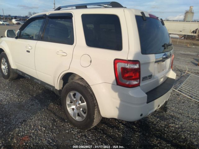 Photo 2 VIN: 1FMCU0EG6AKA04563 - FORD ESCAPE 