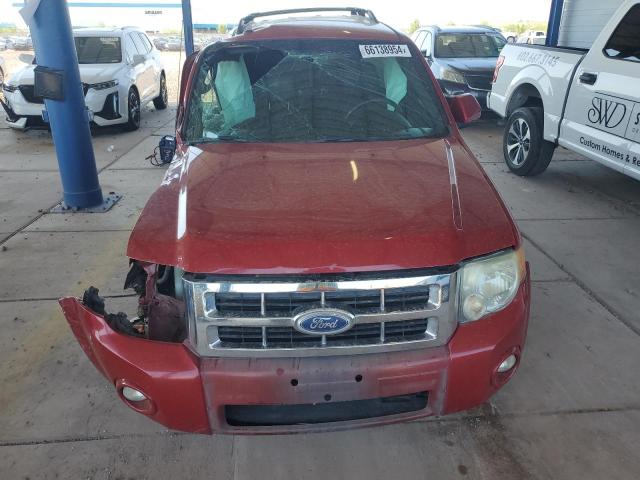 Photo 4 VIN: 1FMCU0EG6BKA75196 - FORD ESCAPE LIM 