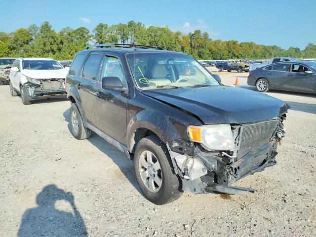 Photo 0 VIN: 1FMCU0EG6BKC04103 - FORD ESCAPE LIM 