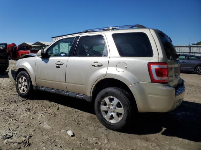 Photo 1 VIN: 1FMCU0EG7AKD09568 - FORD ESCAPE 