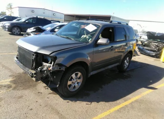 Photo 1 VIN: 1FMCU0EG7AKD46328 - FORD ESCAPE 