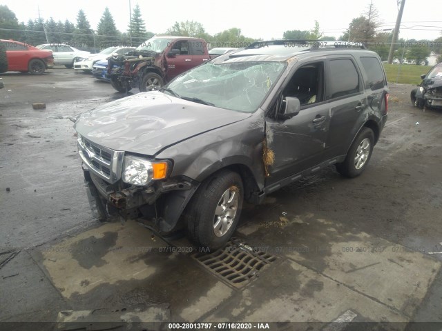 Photo 1 VIN: 1FMCU0EG7BKB83018 - FORD ESCAPE 