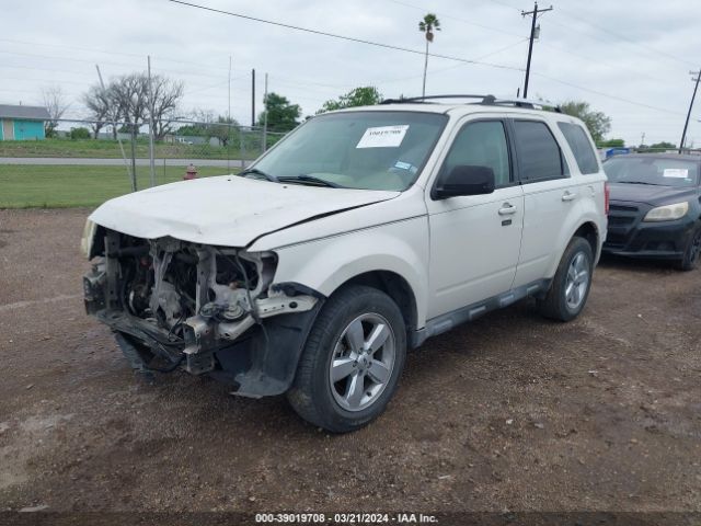 Photo 1 VIN: 1FMCU0EG7BKC17359 - FORD ESCAPE 