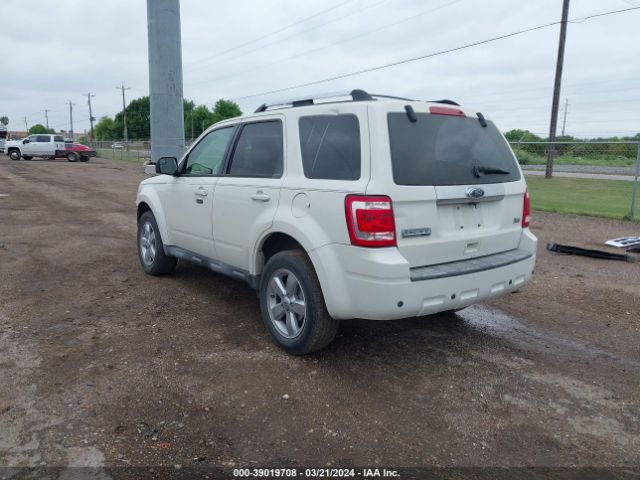 Photo 2 VIN: 1FMCU0EG7BKC17359 - FORD ESCAPE 