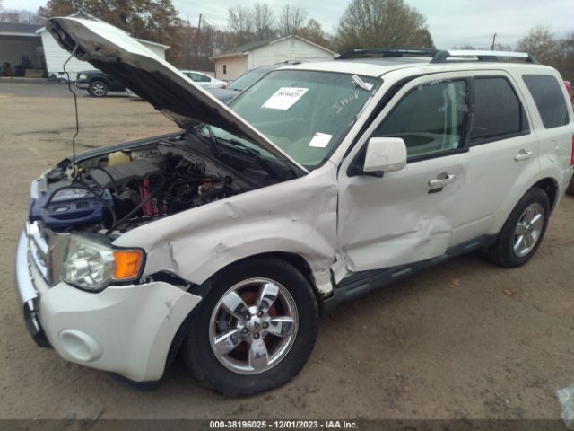 Photo 5 VIN: 1FMCU0EG8AKB20668 - FORD ESCAPE 