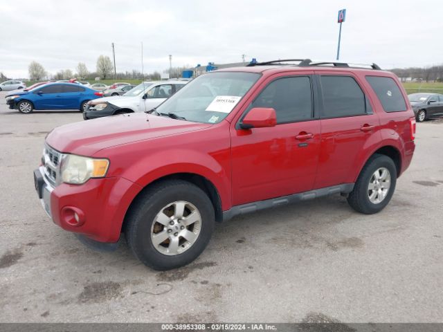 Photo 1 VIN: 1FMCU0EG8AKD01091 - FORD ESCAPE 