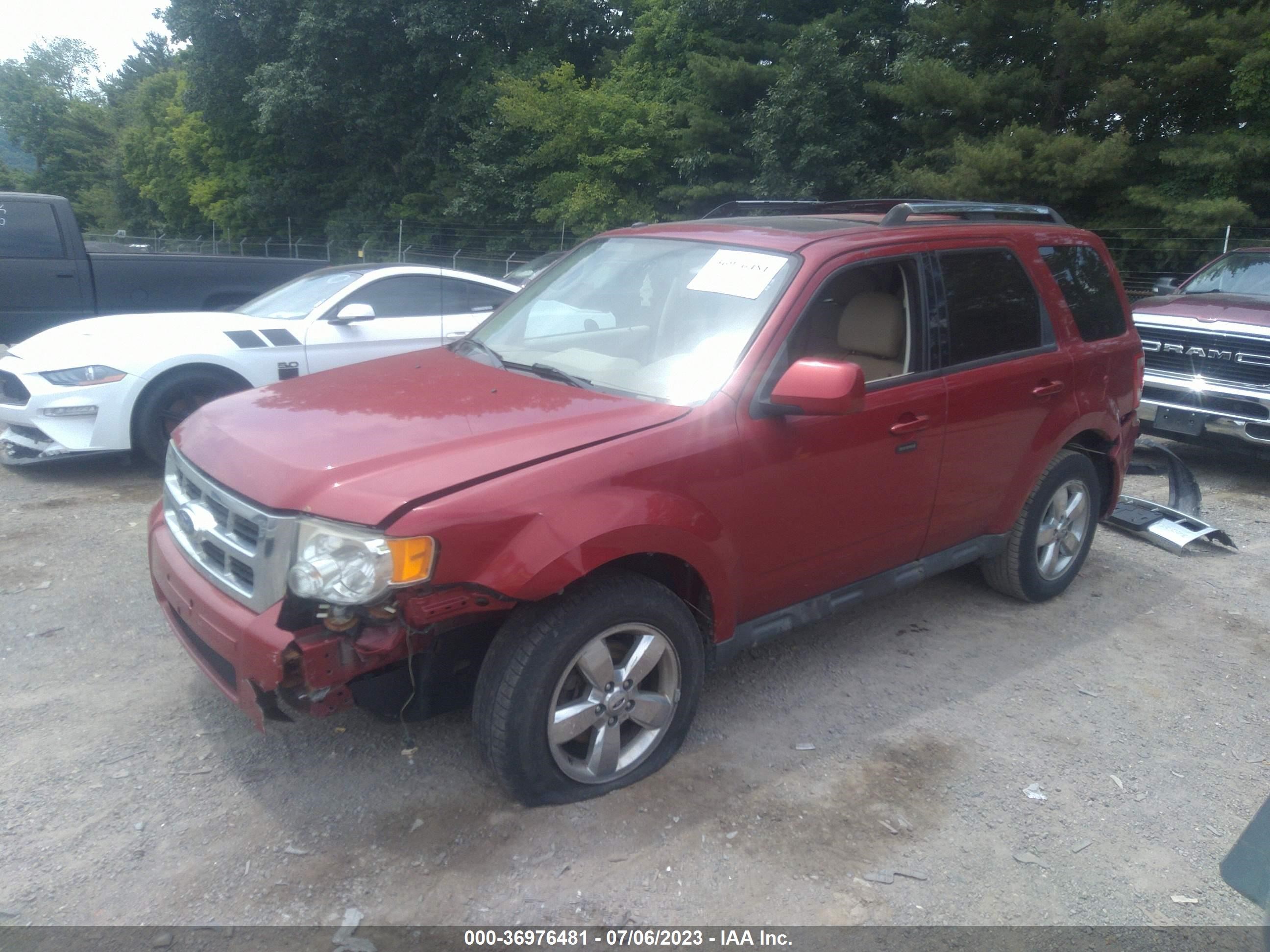 Photo 1 VIN: 1FMCU0EG8BKA61204 - FORD ESCAPE 