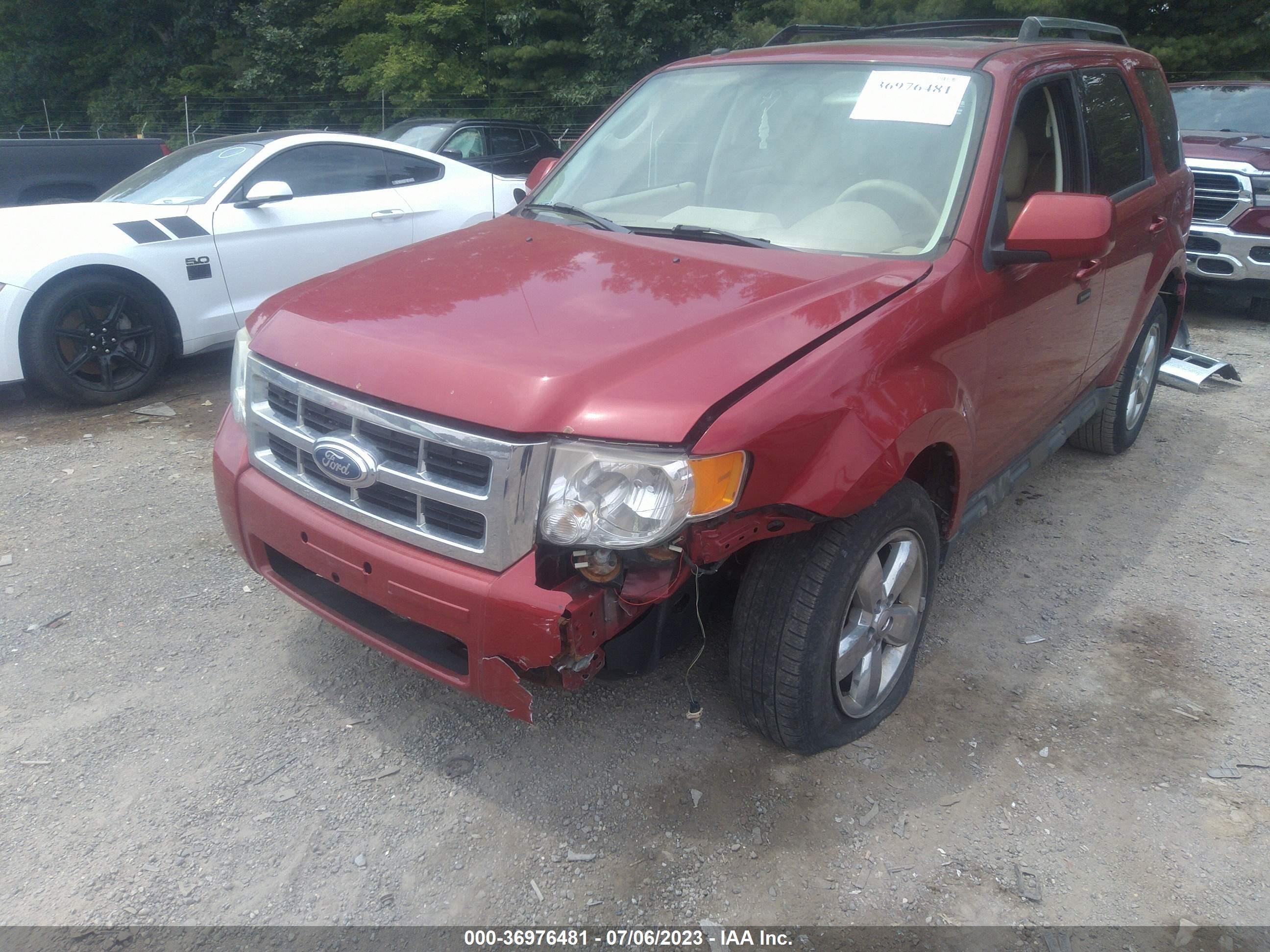 Photo 5 VIN: 1FMCU0EG8BKA61204 - FORD ESCAPE 