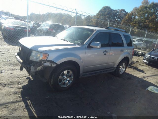 Photo 1 VIN: 1FMCU0EG8BKB01362 - FORD ESCAPE 